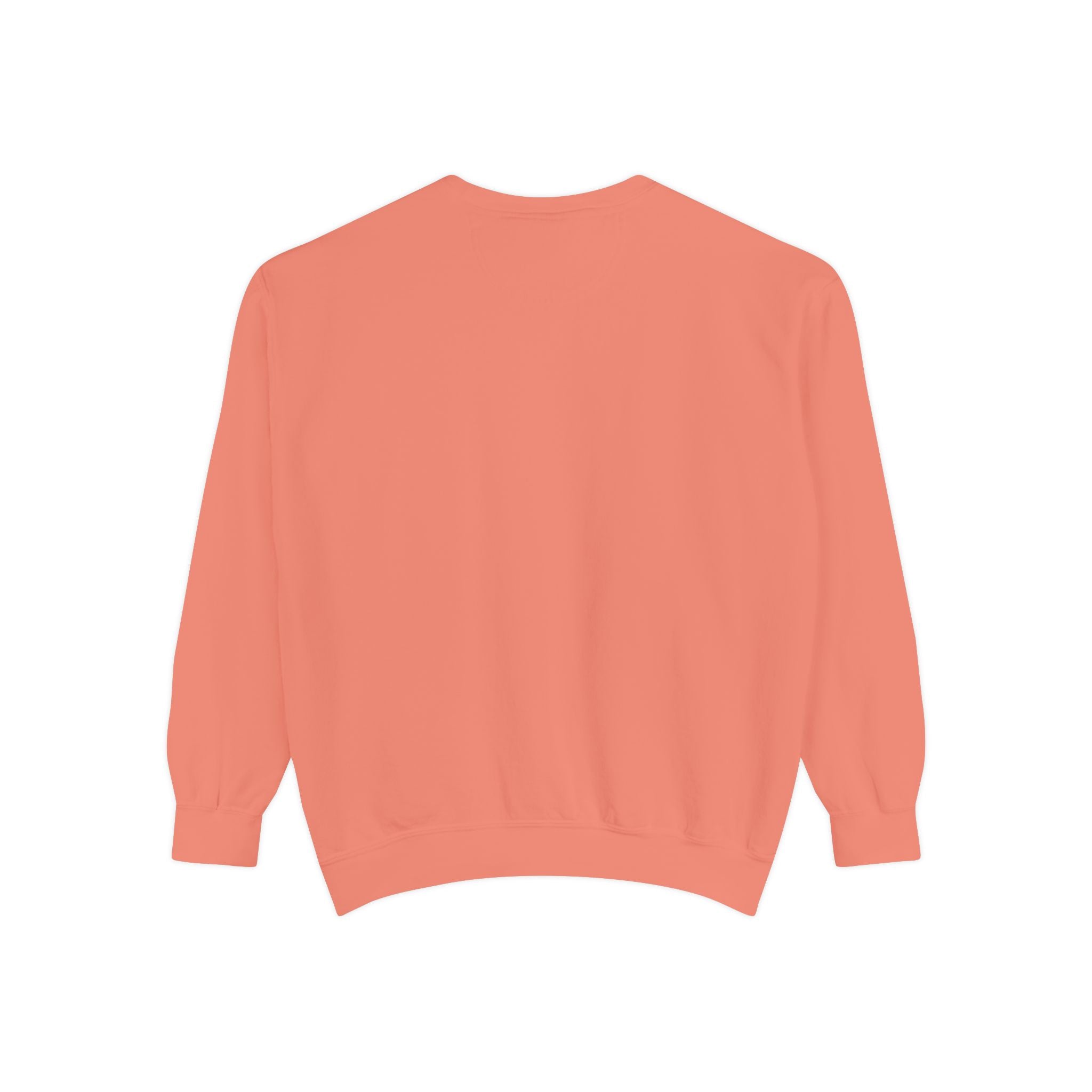 Submit Dyed Sweatshirt