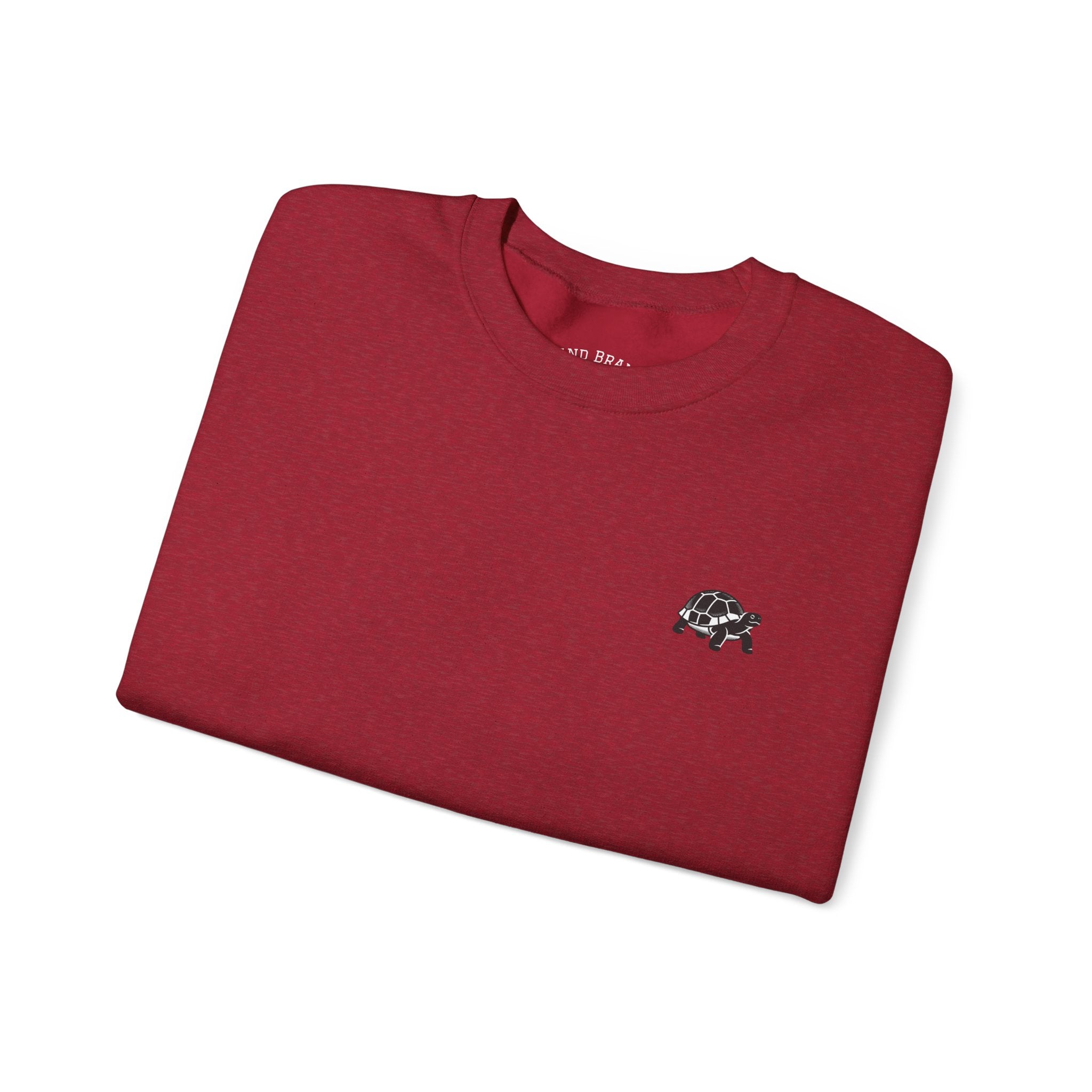 Turtle crewneck