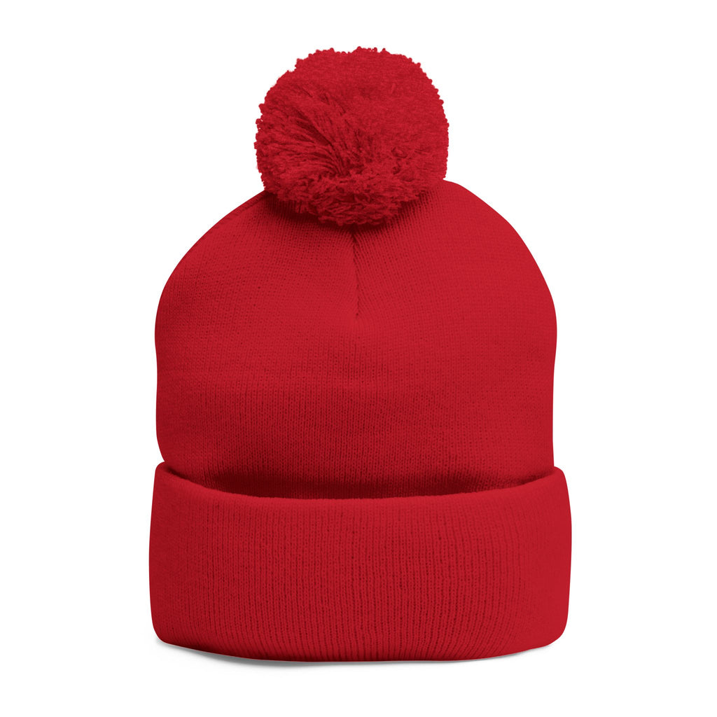 Lunch Time Pom Pom Beanie
